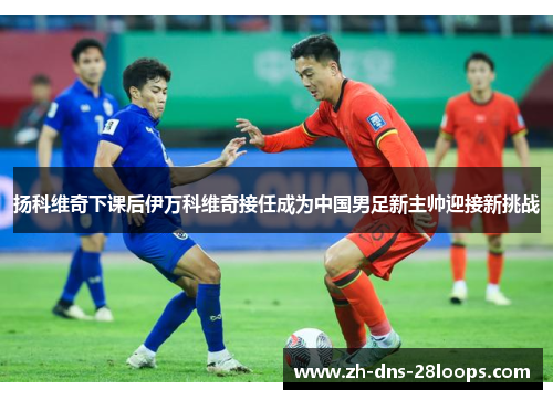 扬科维奇下课后伊万科维奇接任成为中国男足新主帅迎接新挑战